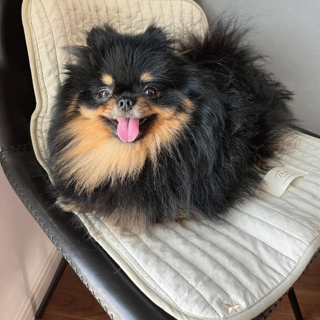 メイ様✨御専用カフェマット（2枚） Amazon | Theo by mela-B メラビー カフェマット 犬 マッシュグレー